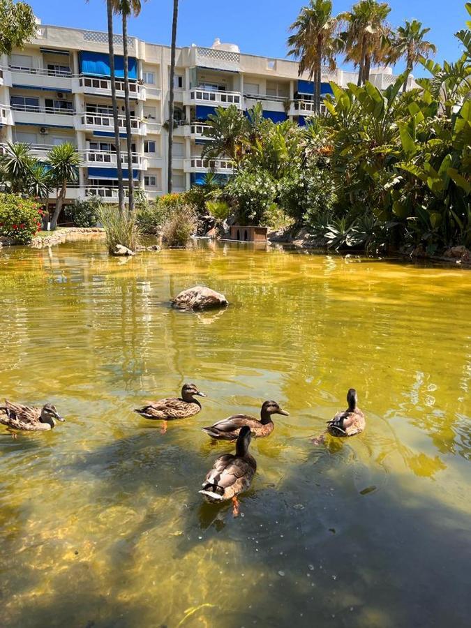 Costalago Beach Torremolinos Eksteriør bilde